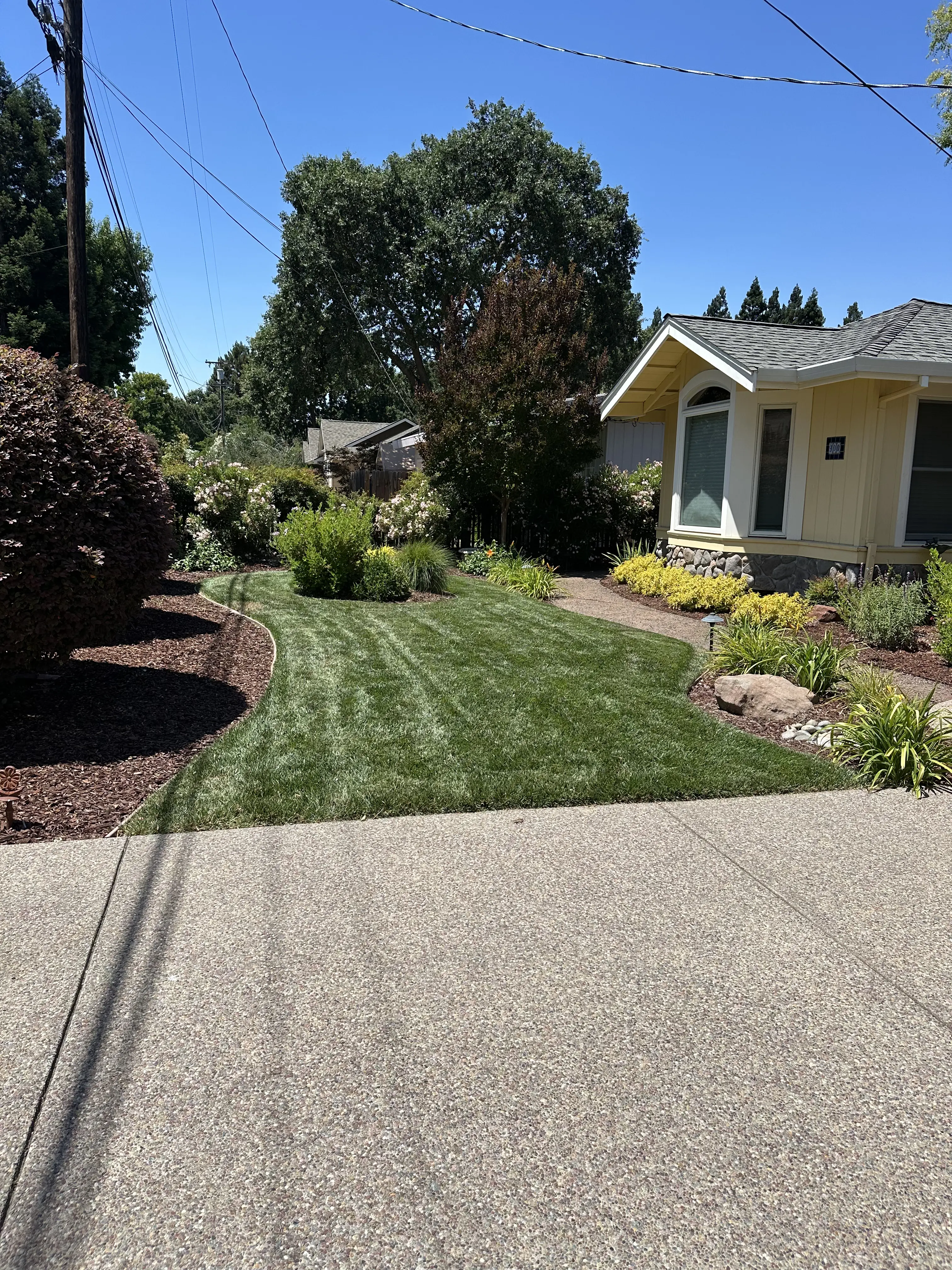Drought Tolerant Plants 3