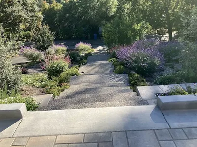 Jean Fogg Landscape path before and after project